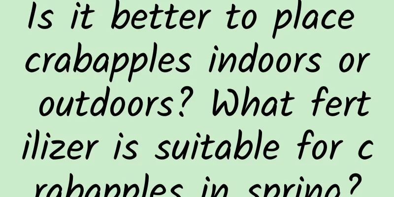 Is it better to place crabapples indoors or outdoors? What fertilizer is suitable for crabapples in spring?