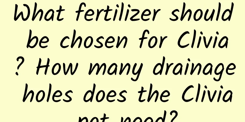 What fertilizer should be chosen for Clivia? How many drainage holes does the Clivia pot need?