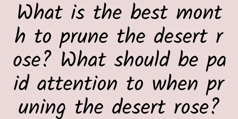 What is the best month to prune the desert rose? What should be paid attention to when pruning the desert rose?