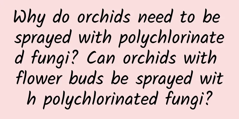 Why do orchids need to be sprayed with polychlorinated fungi? Can orchids with flower buds be sprayed with polychlorinated fungi?