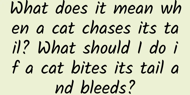 What does it mean when a cat chases its tail? What should I do if a cat bites its tail and bleeds?