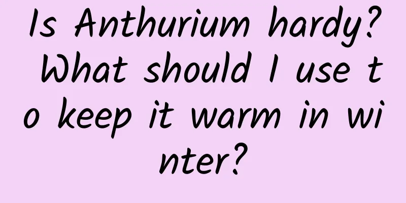 Is Anthurium hardy? What should I use to keep it warm in winter?
