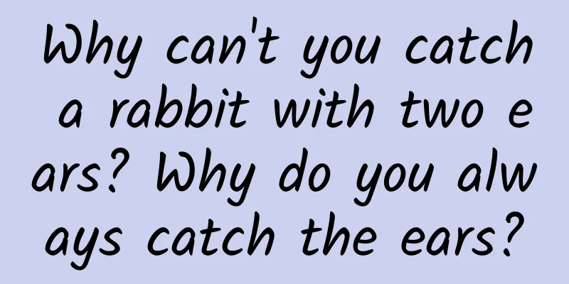Why can't you catch a rabbit with two ears? Why do you always catch the ears?