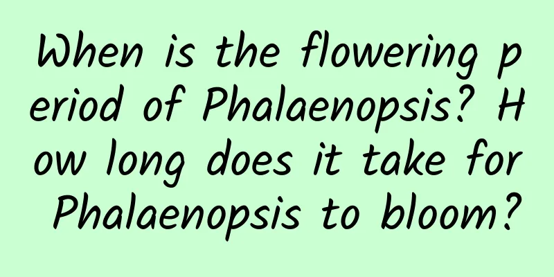 When is the flowering period of Phalaenopsis? How long does it take for Phalaenopsis to bloom?