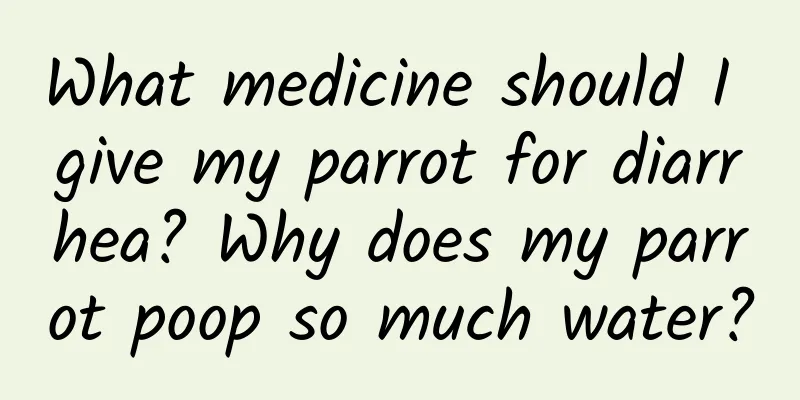 What medicine should I give my parrot for diarrhea? Why does my parrot poop so much water?