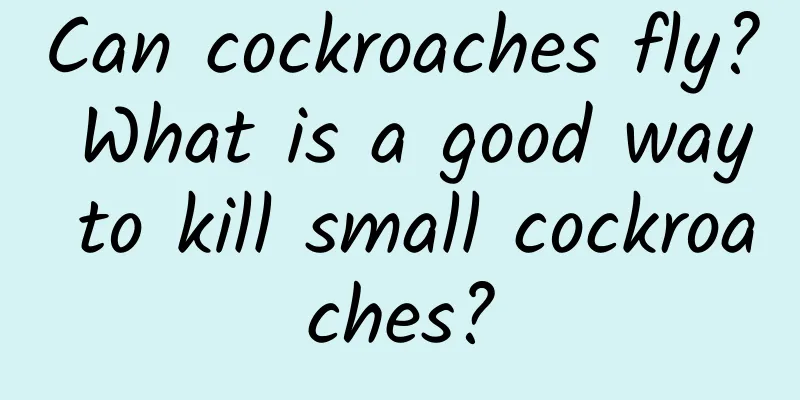 Can cockroaches fly? What is a good way to kill small cockroaches?