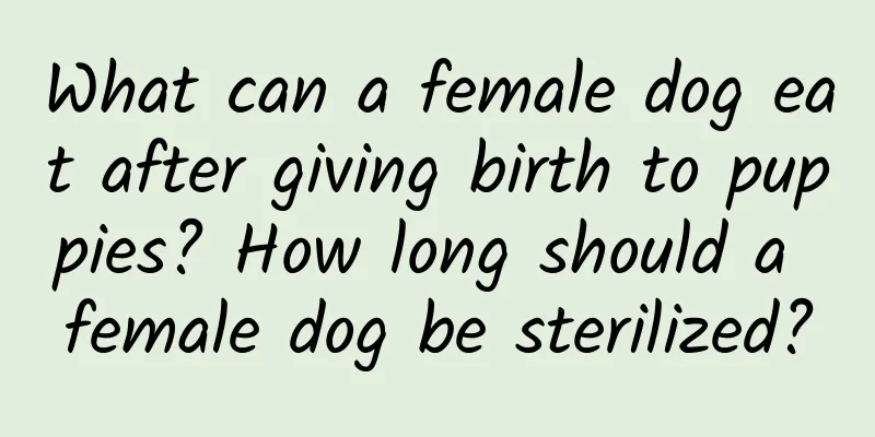 What can a female dog eat after giving birth to puppies? How long should a female dog be sterilized?