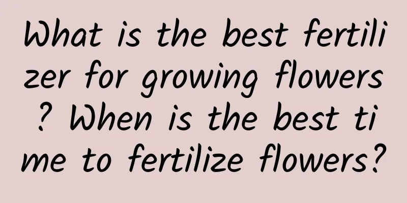 What is the best fertilizer for growing flowers? When is the best time to fertilize flowers?