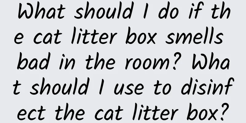 What should I do if the cat litter box smells bad in the room? What should I use to disinfect the cat litter box?