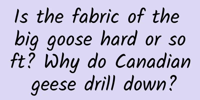 Is the fabric of the big goose hard or soft? Why do Canadian geese drill down?