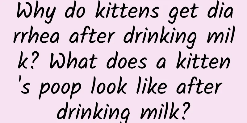 Why do kittens get diarrhea after drinking milk? What does a kitten's poop look like after drinking milk?