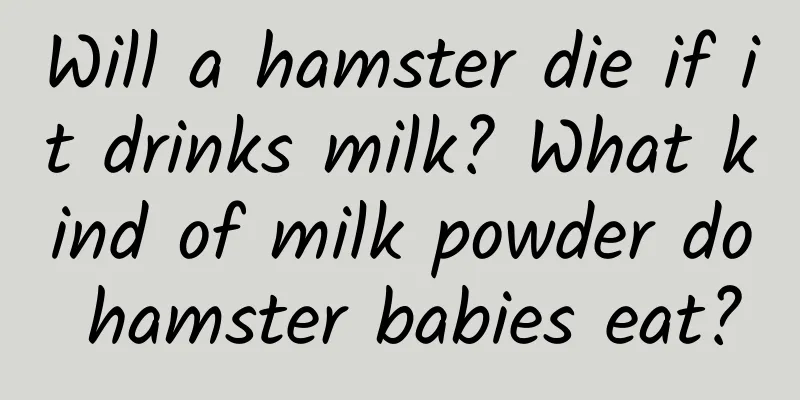 Will a hamster die if it drinks milk? What kind of milk powder do hamster babies eat?