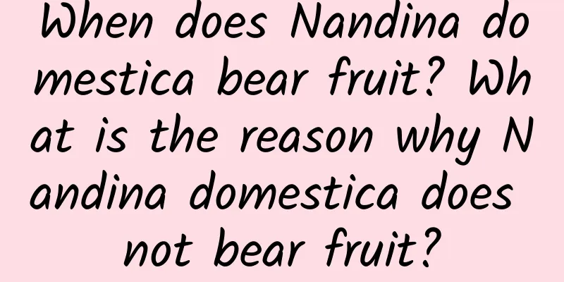 When does Nandina domestica bear fruit? What is the reason why Nandina domestica does not bear fruit?