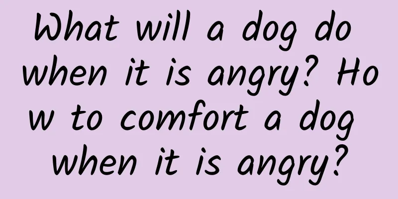 What will a dog do when it is angry? How to comfort a dog when it is angry?