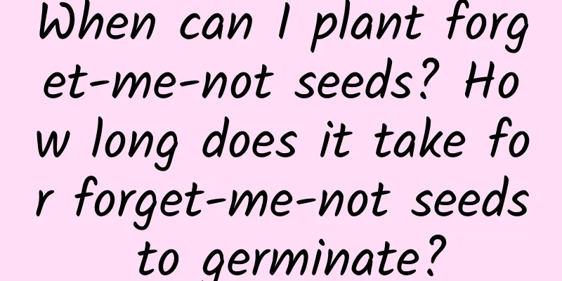 When can I plant forget-me-not seeds? How long does it take for forget-me-not seeds to germinate?