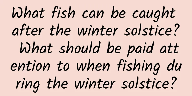 What fish can be caught after the winter solstice? What should be paid attention to when fishing during the winter solstice?