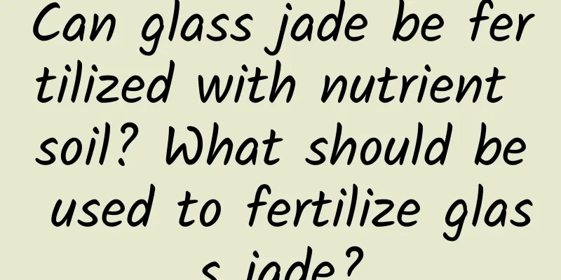 Can glass jade be fertilized with nutrient soil? What should be used to fertilize glass jade?