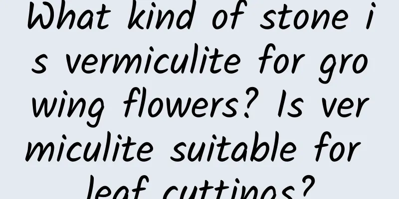 What kind of stone is vermiculite for growing flowers? Is vermiculite suitable for leaf cuttings?