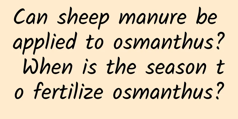 Can sheep manure be applied to osmanthus? When is the season to fertilize osmanthus?