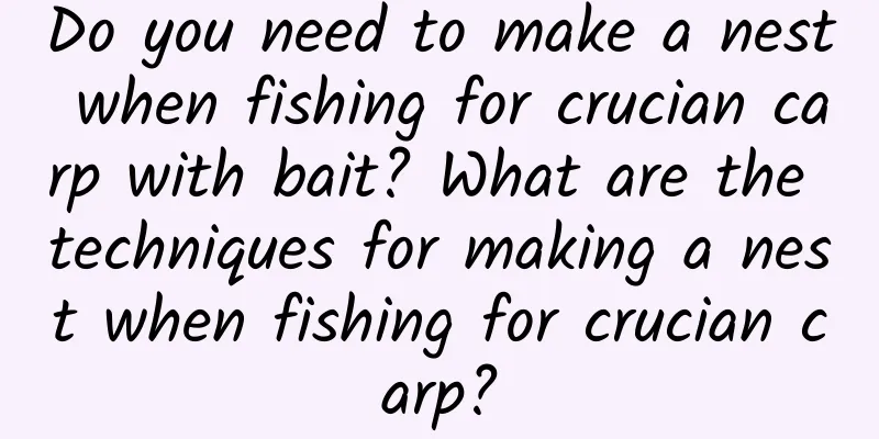 Do you need to make a nest when fishing for crucian carp with bait? What are the techniques for making a nest when fishing for crucian carp?