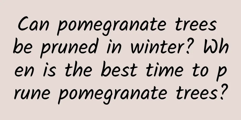 Can pomegranate trees be pruned in winter? When is the best time to prune pomegranate trees?