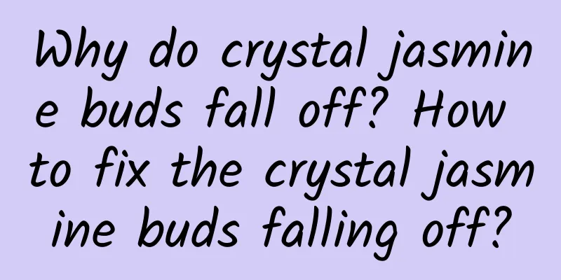 Why do crystal jasmine buds fall off? How to fix the crystal jasmine buds falling off?