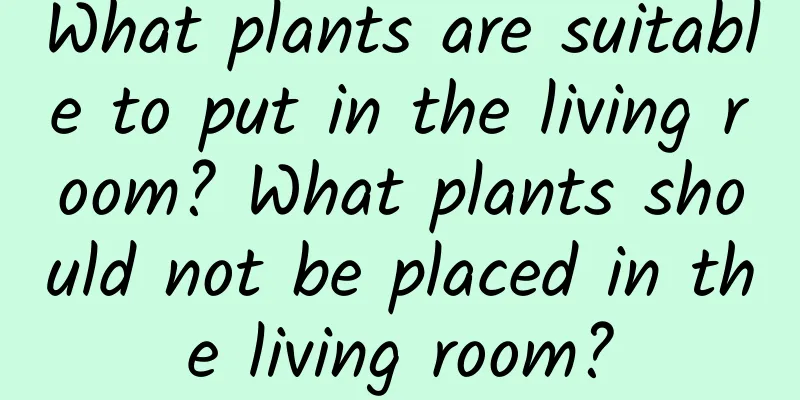 What plants are suitable to put in the living room? What plants should not be placed in the living room?