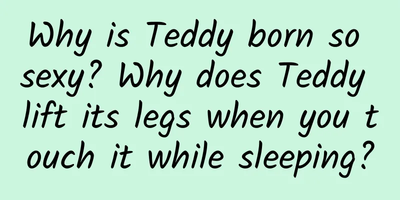 Why is Teddy born so sexy? Why does Teddy lift its legs when you touch it while sleeping?