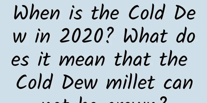 When is the Cold Dew in 2020? What does it mean that the Cold Dew millet cannot be grown?