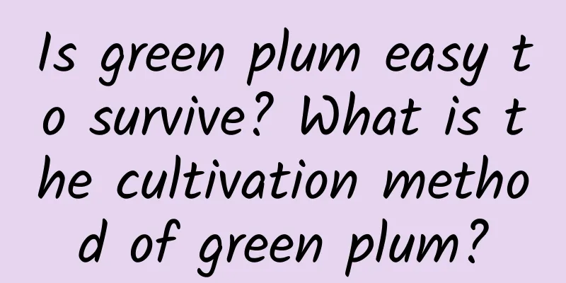 Is green plum easy to survive? What is the cultivation method of green plum?