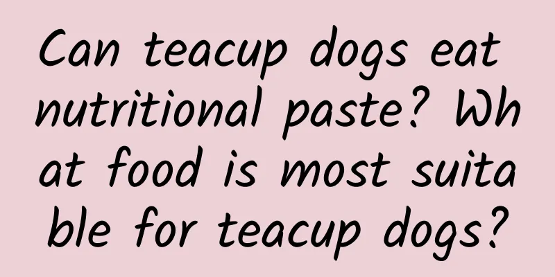 Can teacup dogs eat nutritional paste? What food is most suitable for teacup dogs?