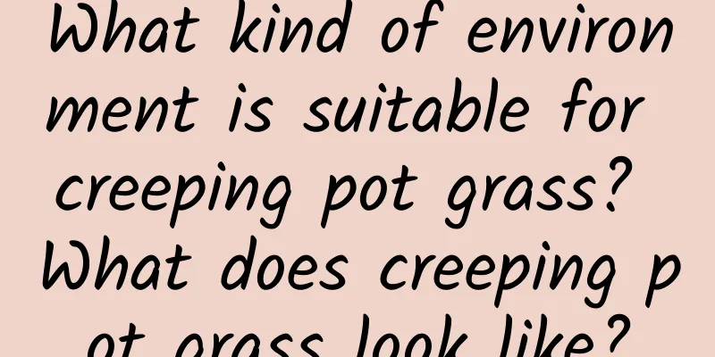 What kind of environment is suitable for creeping pot grass? What does creeping pot grass look like?