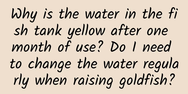 Why is the water in the fish tank yellow after one month of use? Do I need to change the water regularly when raising goldfish?