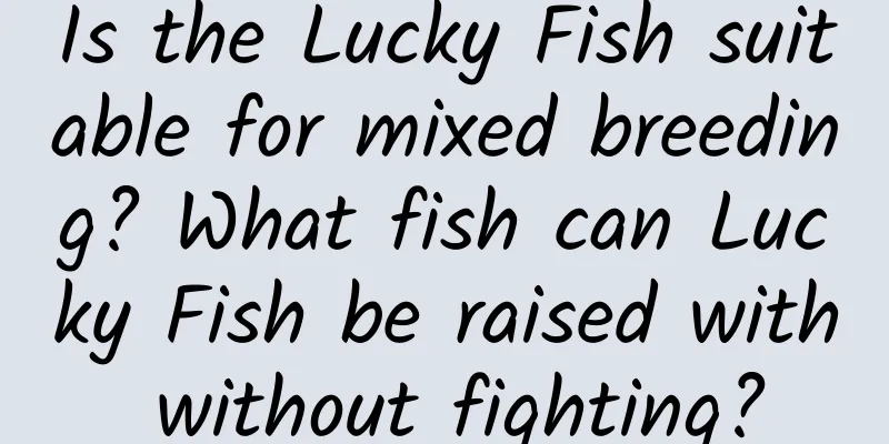 Is the Lucky Fish suitable for mixed breeding? What fish can Lucky Fish be raised with without fighting?