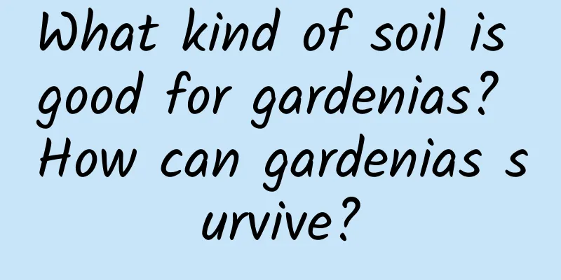 What kind of soil is good for gardenias? How can gardenias survive?