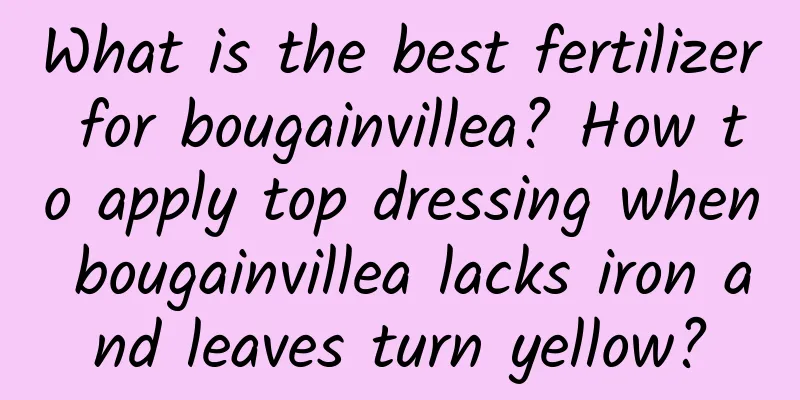 What is the best fertilizer for bougainvillea? How to apply top dressing when bougainvillea lacks iron and leaves turn yellow?