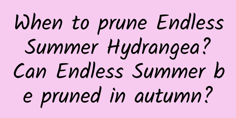 When to prune Endless Summer Hydrangea? Can Endless Summer be pruned in autumn?