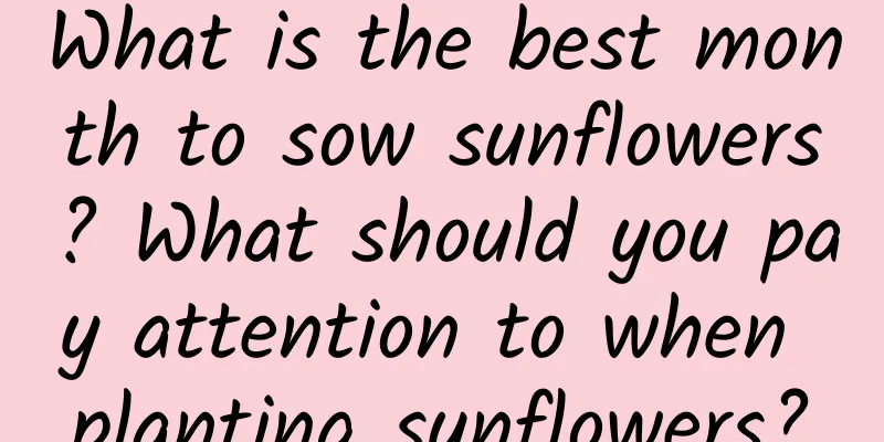 What is the best month to sow sunflowers? What should you pay attention to when planting sunflowers?