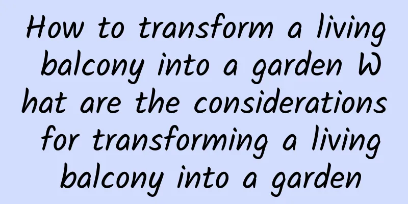 How to transform a living balcony into a garden What are the considerations for transforming a living balcony into a garden