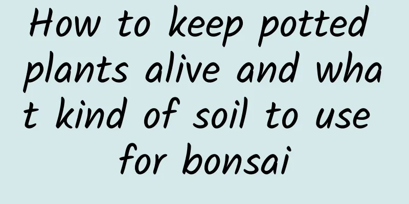 How to keep potted plants alive and what kind of soil to use for bonsai