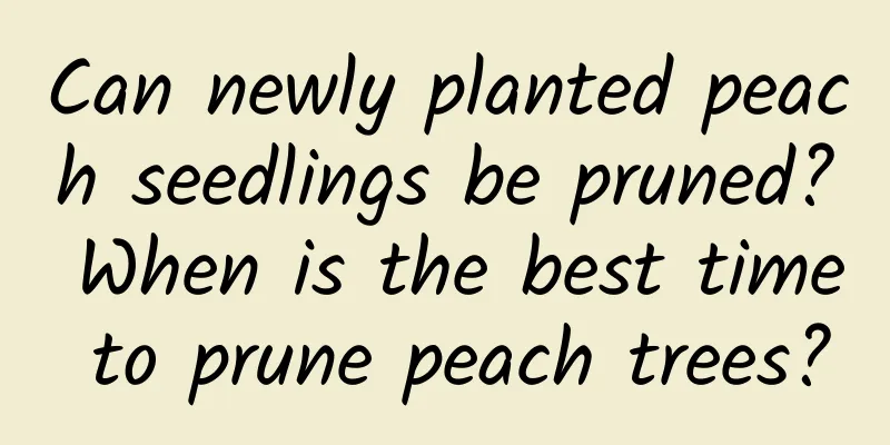 Can newly planted peach seedlings be pruned? When is the best time to prune peach trees?