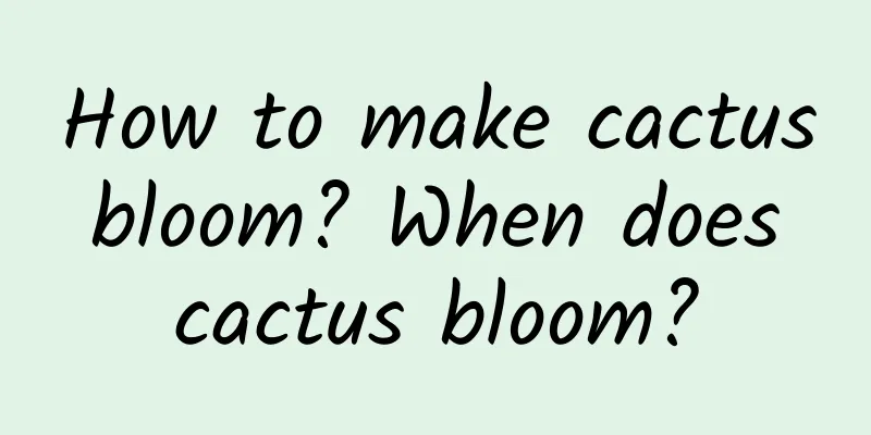 How to make cactus bloom? When does cactus bloom?