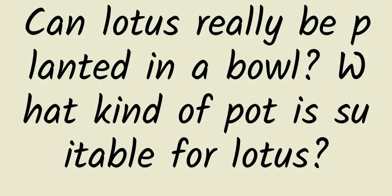 Can lotus really be planted in a bowl? What kind of pot is suitable for lotus?