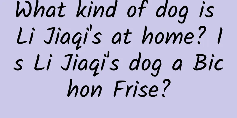 What kind of dog is Li Jiaqi's at home? Is Li Jiaqi's dog a Bichon Frise?