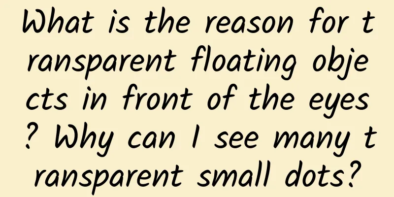 What is the reason for transparent floating objects in front of the eyes? Why can I see many transparent small dots?