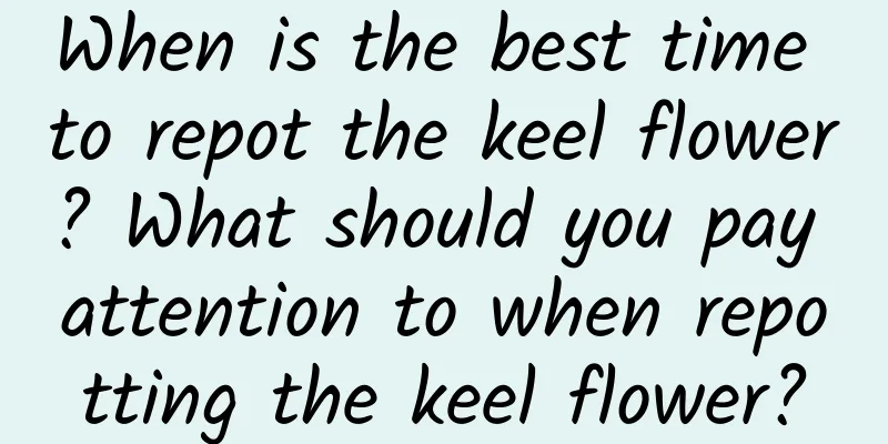 When is the best time to repot the keel flower? What should you pay attention to when repotting the keel flower?