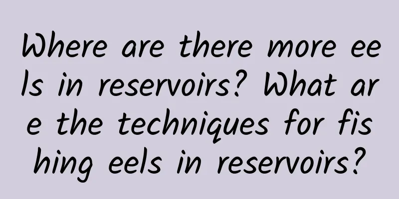 Where are there more eels in reservoirs? What are the techniques for fishing eels in reservoirs?