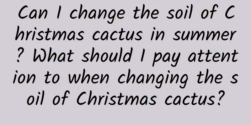 Can I change the soil of Christmas cactus in summer? What should I pay attention to when changing the soil of Christmas cactus?