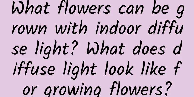 What flowers can be grown with indoor diffuse light? What does diffuse light look like for growing flowers?