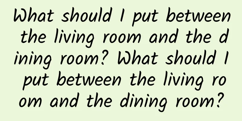 What should I put between the living room and the dining room? What should I put between the living room and the dining room?